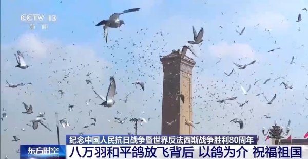 专业配资门户官网 8万羽和平鸽在天安门放飞，背后藏着这些真挚祝福